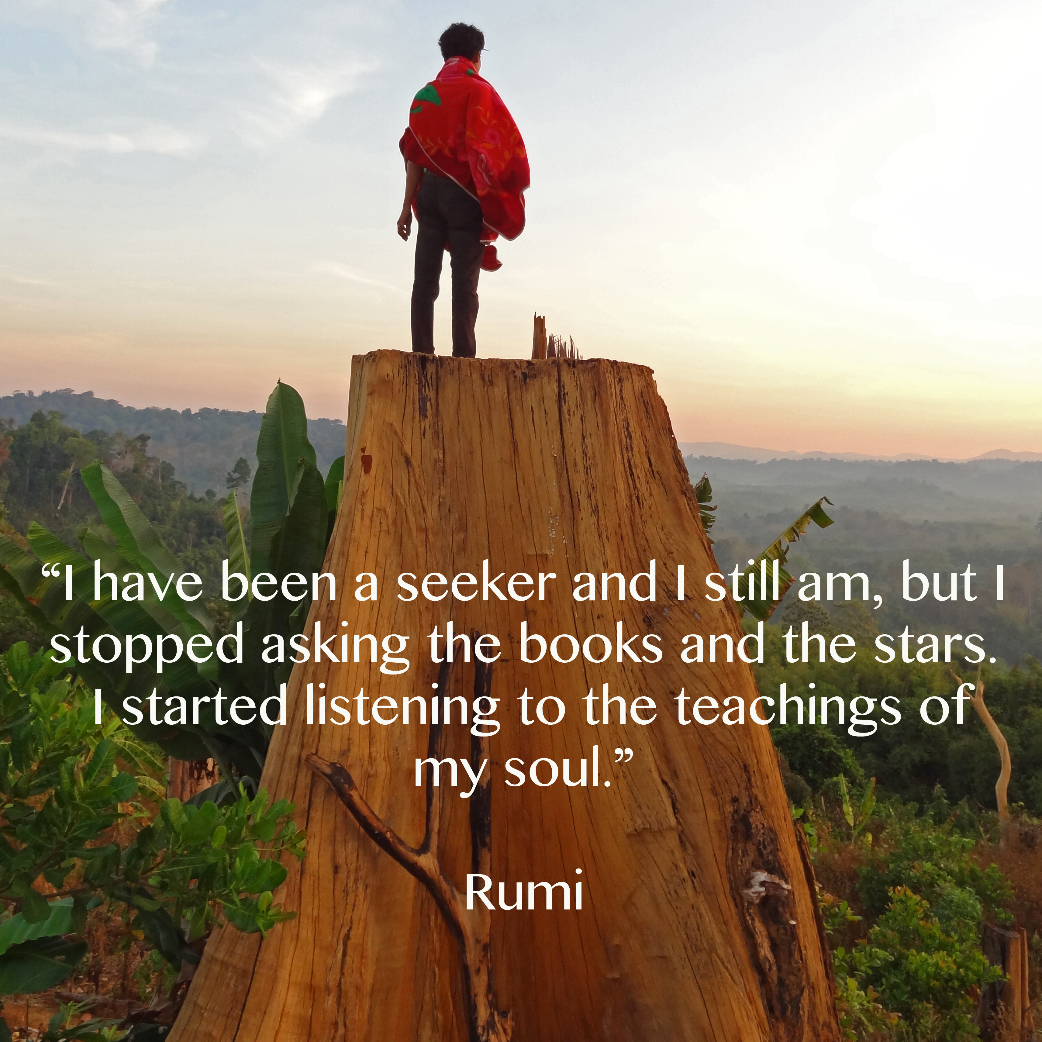 Rumi-seeker-quote