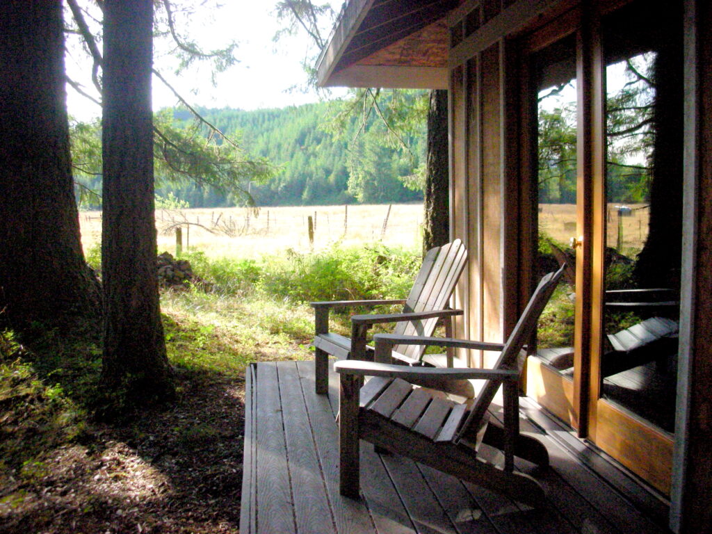 cozy cabin with sunlit porch during a yoga retreat in the Oregon forest