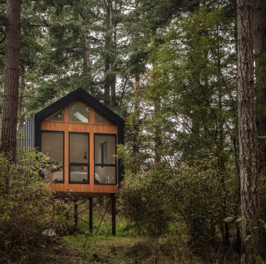 San Juan Island Yoga Retreat 1 — San Juan Islands women's yoga retreat, Washington