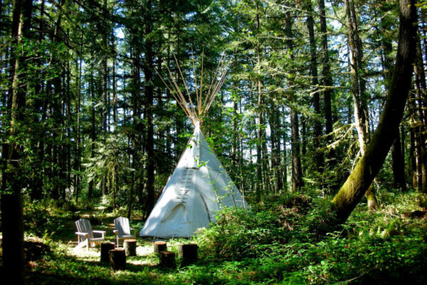 forest and tipi during pnw women's yoga retreat in Oregon