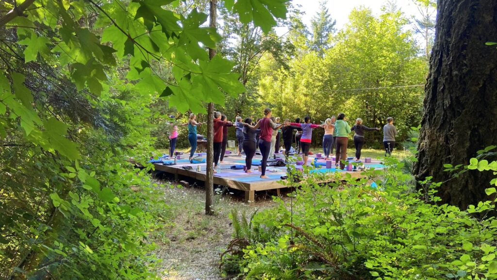 yoga class viewed through the trees in Oregon