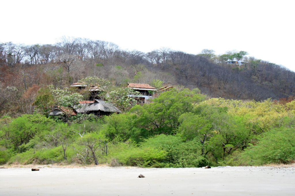 Nicaragua Yoga & Surf Retreat - Image 4