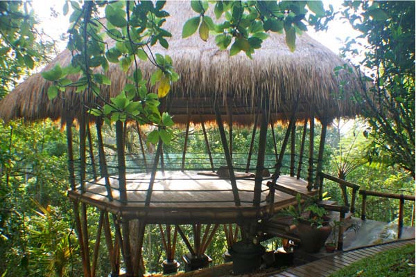 Bali Yoga Retreat - Image 1