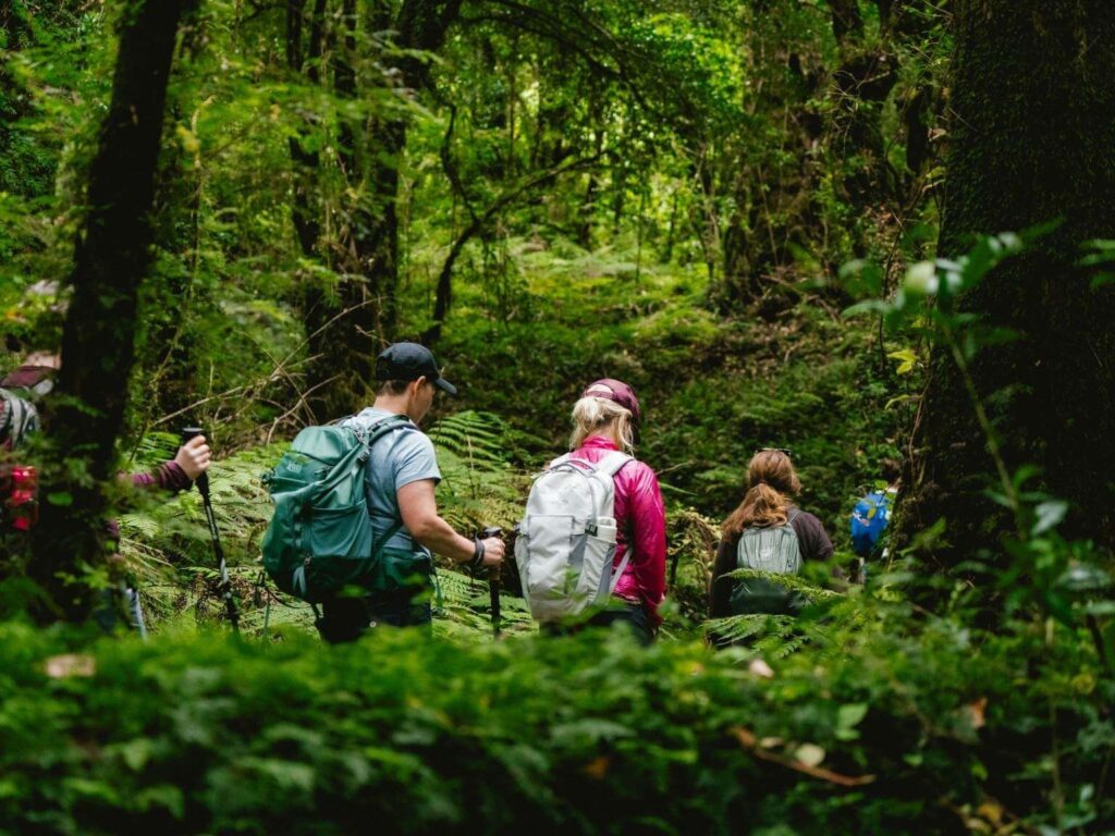 women's hiking trip in Patagonia