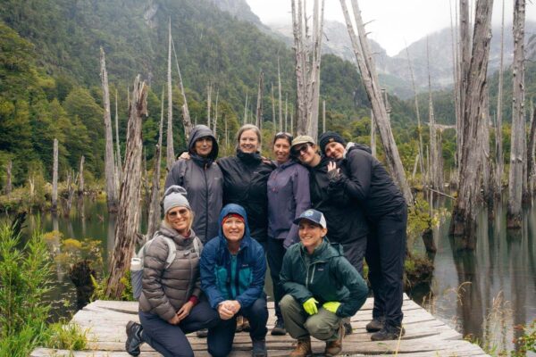 women's yoga and hiking trip in Patagonia, Alerce forest