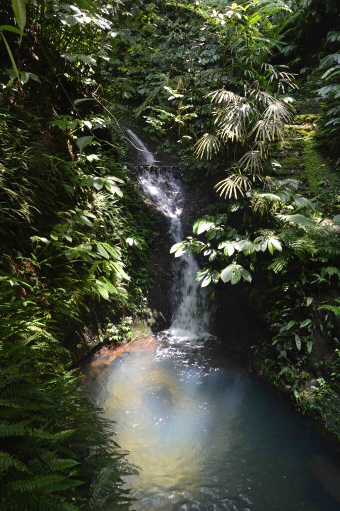 Bali Yoga Retreat - Image 3