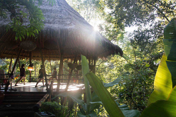 Bali Yoga Retreat - Image 5