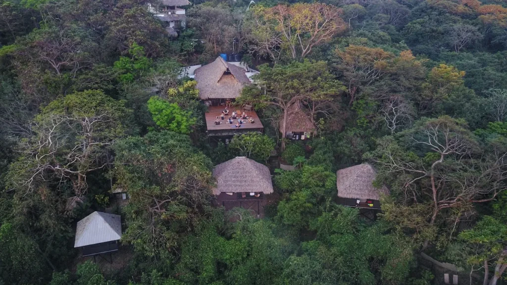 drone of jungle yoga retreat and teacher training in Nicaragua