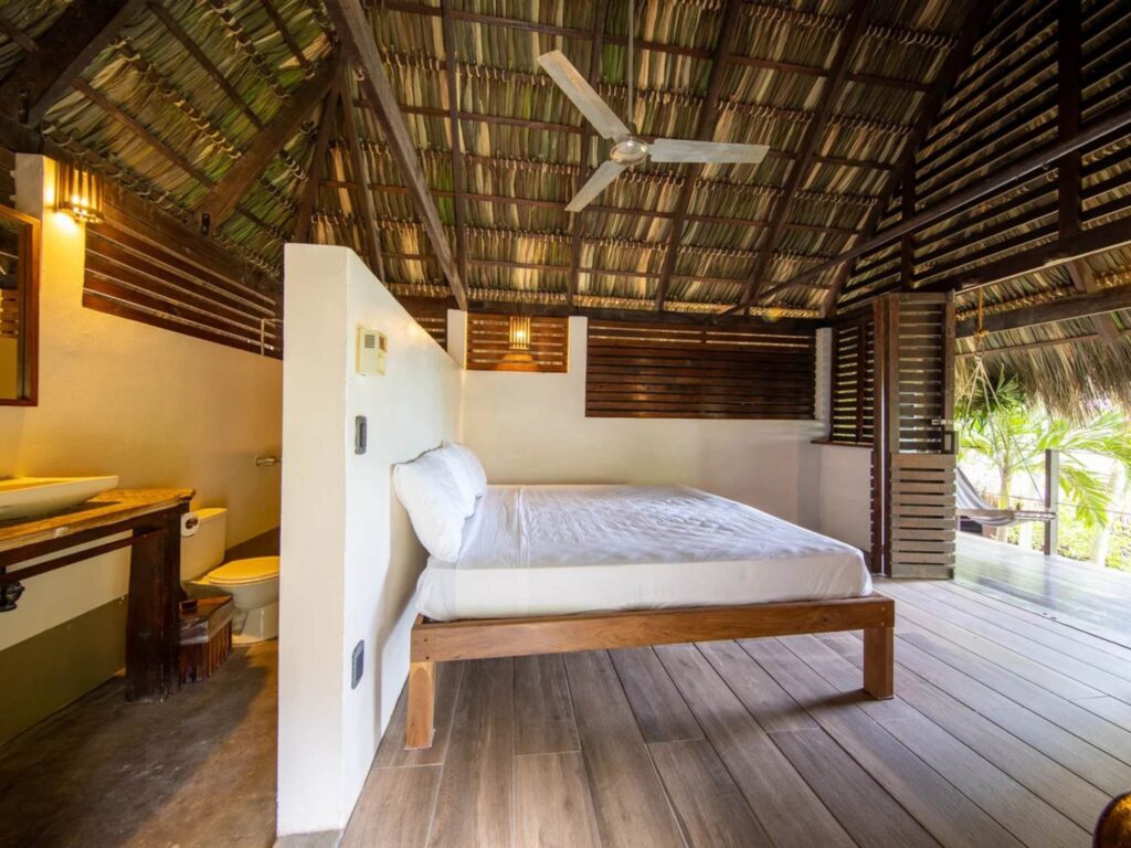 bvsc jungle view cabana