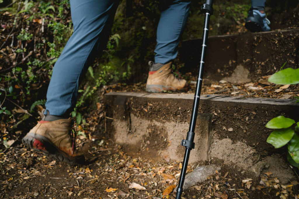 Close-up of hiking boots and a trekking pole climbing wooden trail steps through a Patagonian forest.