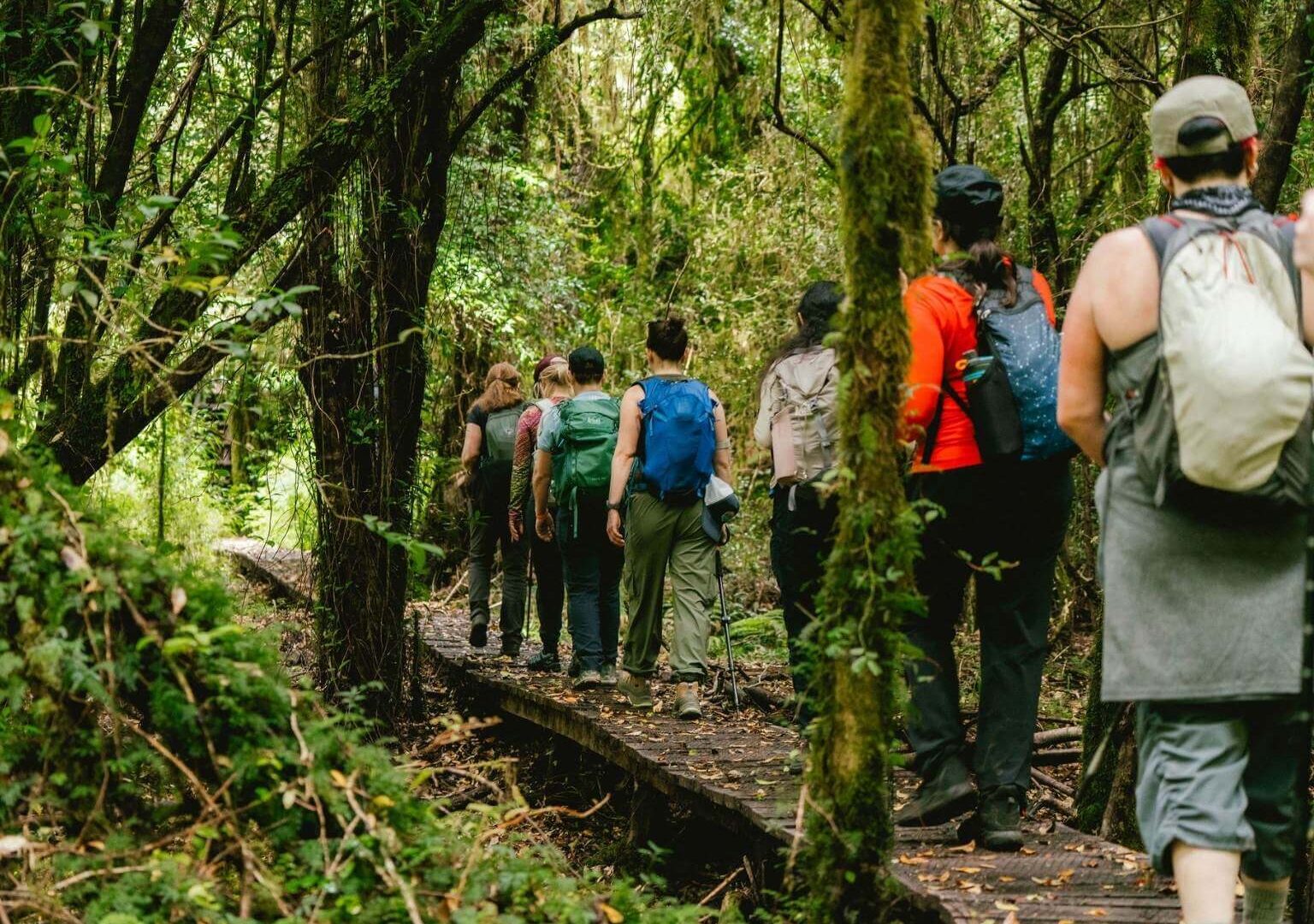 lush green Patagonia trails in April during a women's wellness and adventure retreat in Patagonia