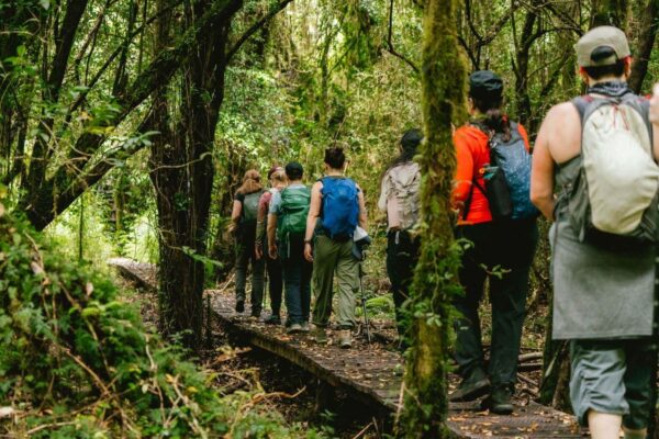 lush green Patagonia trails in April during a women's wellness and adventure retreat in Patagonia