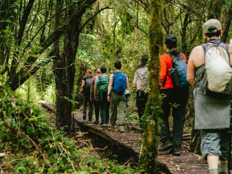 lush green Patagonia trails in April during a women's wellness and adventure retreat in Patagonia
