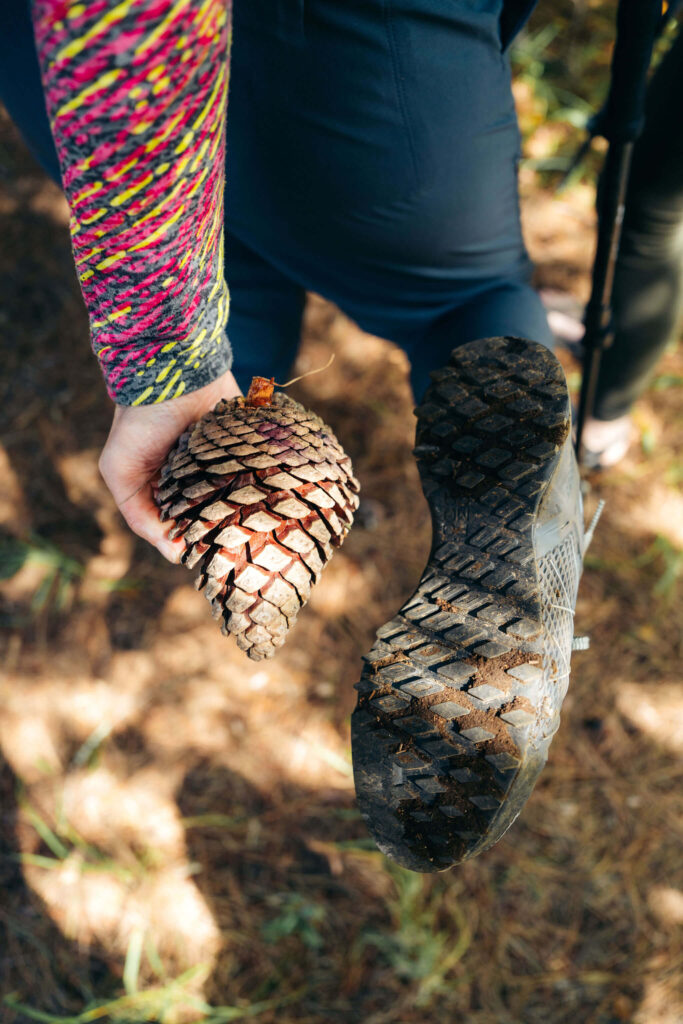 A hiker holds a large pine cone beside her muddy trail shoe on a forest path in Patagonia.